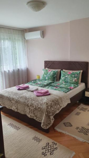 Apartman Centar